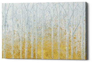 Epic Graffiti "Silver Water GOLD" Giclee Canvas Wall Art, 18"x26"