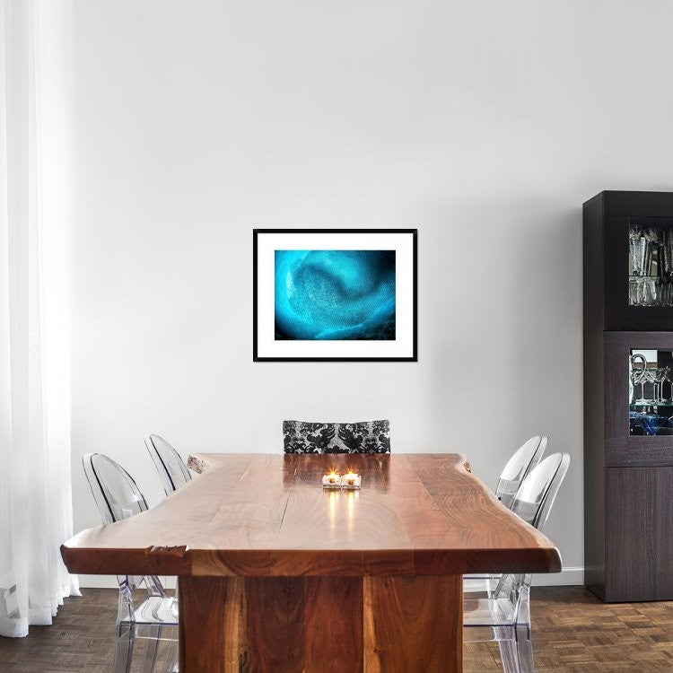 "Schooling Sardines" Framed Digital Print by Henry Jager, 30"x24"