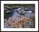 Little Pigeon River, Great Smoky Mountains National Park, Tennessee, 38"x30"