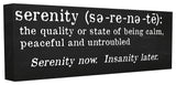 Black and White Serenity Definition Canvas, 10"x1.5"x24"