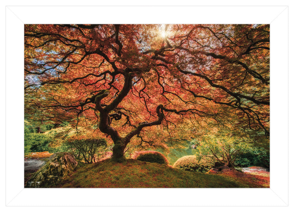 "First Colors of Fall I" by Moises Levy, Ready to Hang Framed Print, White Frame