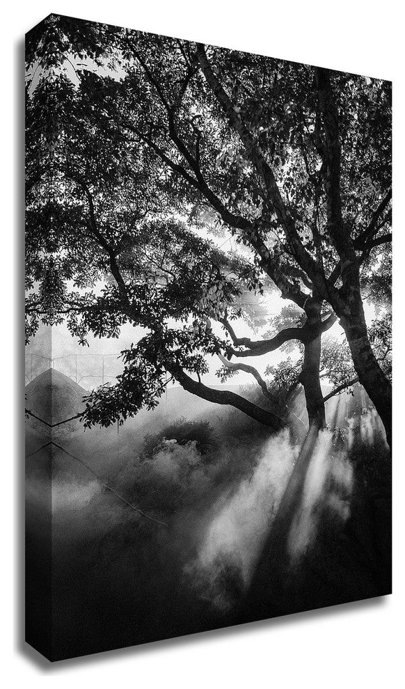 Misty Black by Design Fabrikken, Print on Canvas, 25"x35"