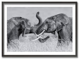 Elephant Tai Chi Framed Print Wall Art by Jun Zuo, 36"x24", Framed