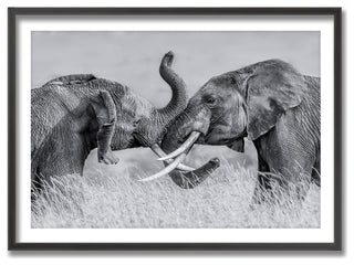 Elephant Tai Chi Framed Print Wall Art by Jun Zuo, 36"x24", Framed