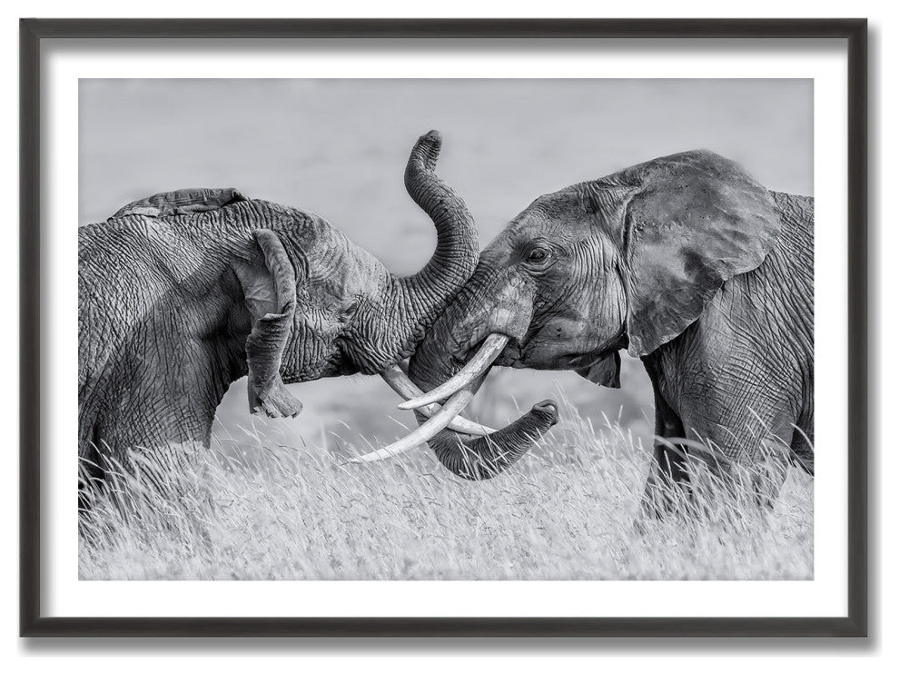 Elephant Tai Chi Framed Print Wall Art by Jun Zuo, 36"x24", Framed