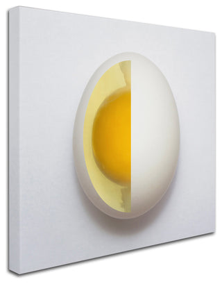 Adelino Alves 'Inner Egg' Canvas Art, 18 x 18