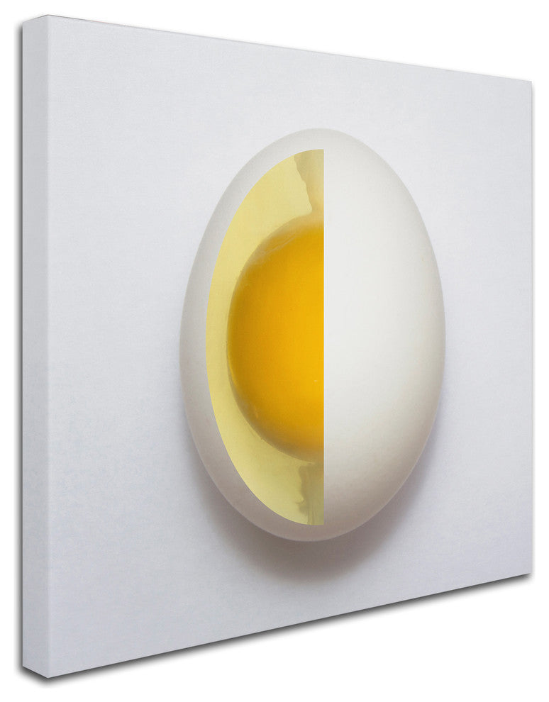 Adelino Alves 'Inner Egg' Canvas Art, 18 x 18