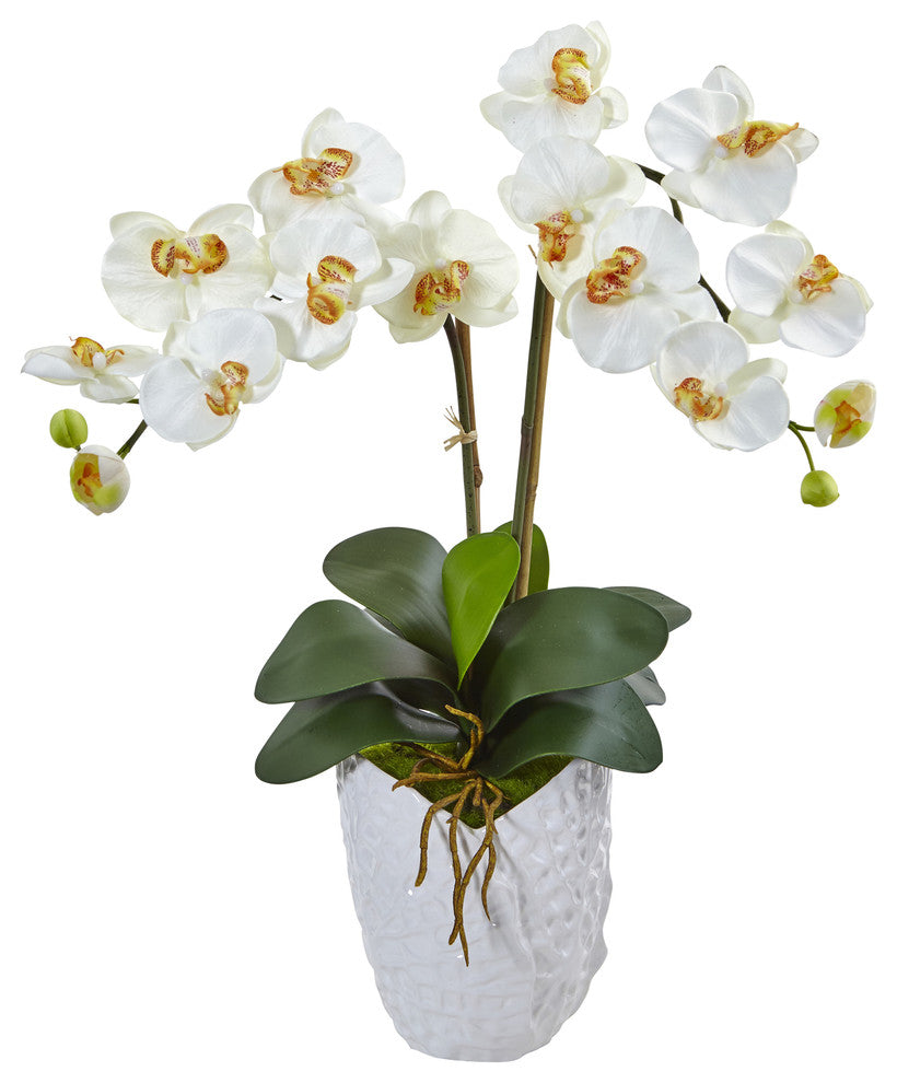 Double Phalaenopsis Orchid Silk Arrangement, White Vase
