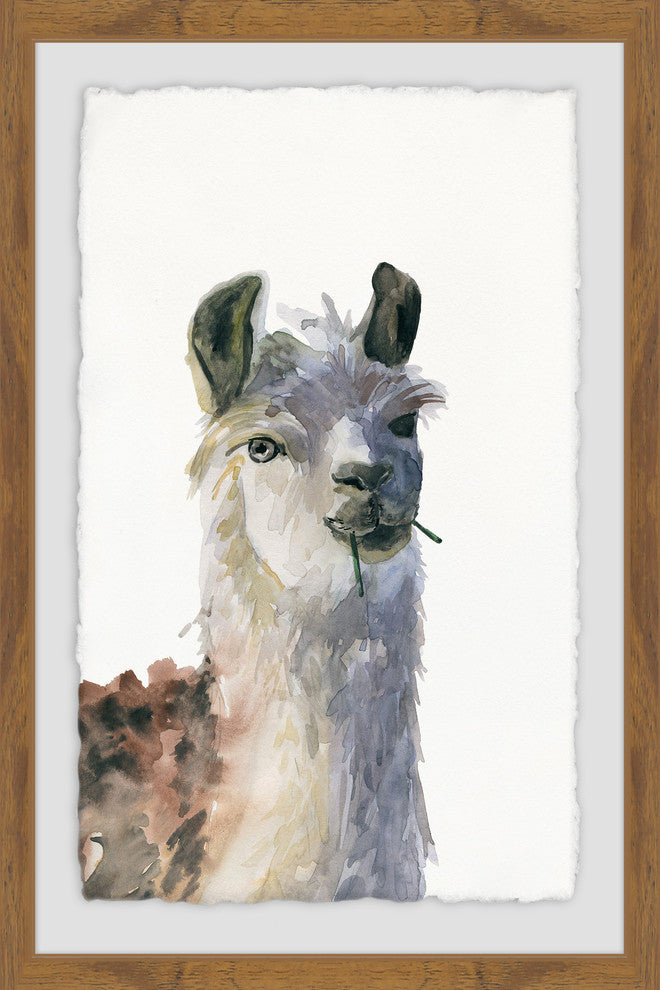 "Chewing Llama" Framed Painting Print, 12"x18"
