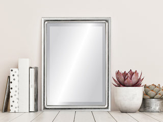 Pasadena Framed Rectangle Mirror, Silver Leaf With Brown Antique, 17"x21"