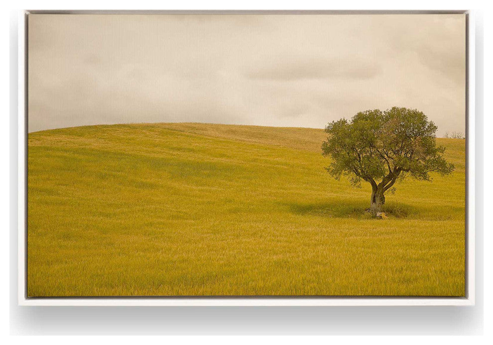 "Tuscan Fields' Charm" - A Touch of Italian Rusticity for Elegant Interiors