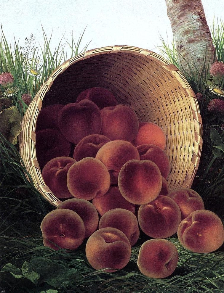 William Mason Brown Peaches in an Upturned Basket Wall Decal