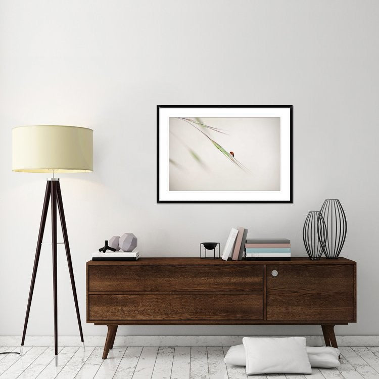 "Untitled" Framed Digital Print by Anna Cseresnjes, 44x32"