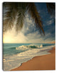 Beautiful Tropical Beach with Palms, Beach Photo Canvas Print, 30"x40"