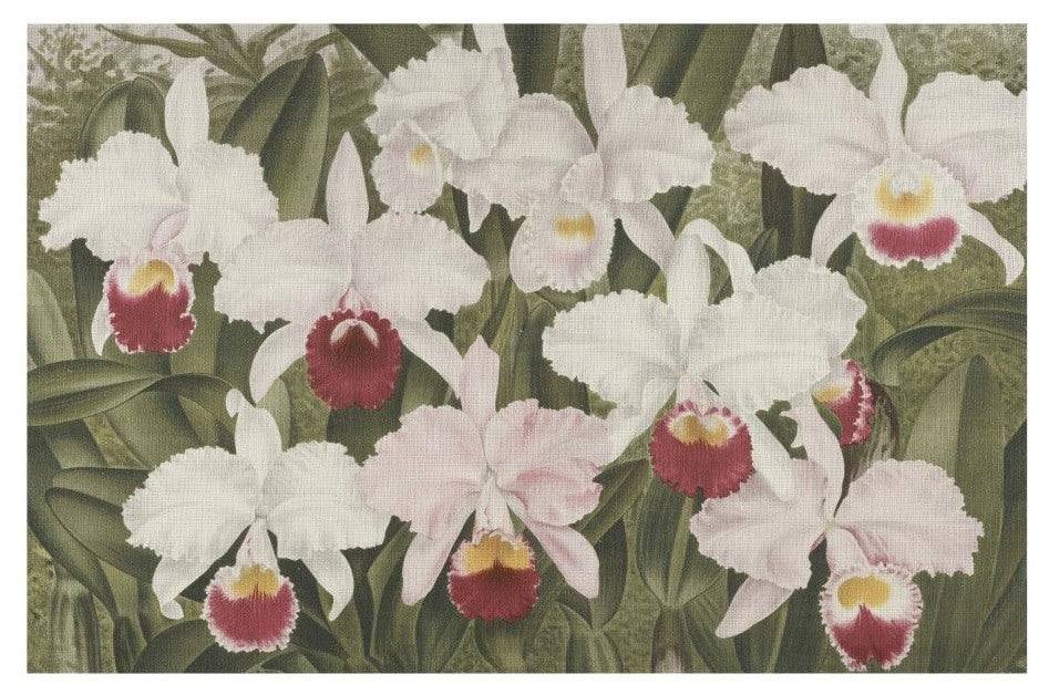 Field of Flowers Gallery, 42 X 29