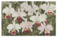 Field of Flowers Gallery, 42 X 29