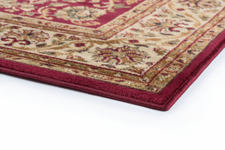 Ventura Transitional Oriental Red Rectangle Area Rug, 9'x12'