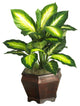 Golden Dieffenbachia With Wood Vase Silk Plant
