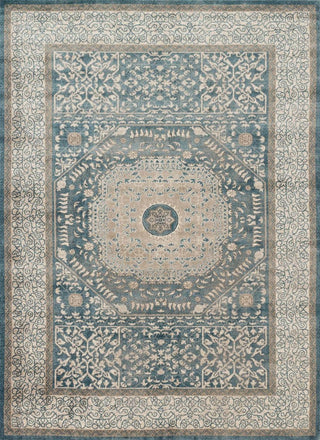 Durable Distressed Century Area Rug, Blue/Sand, 9'6"x13'