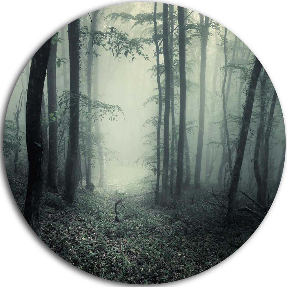 Trail Through Dark Forest, Landscape Photo Disc Metal Wall Art, 23"