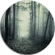 Trail Through Dark Forest, Landscape Photo Disc Metal Wall Art, 23"