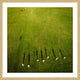 "Casting Shadows" Framed Print by Karolis Janulis