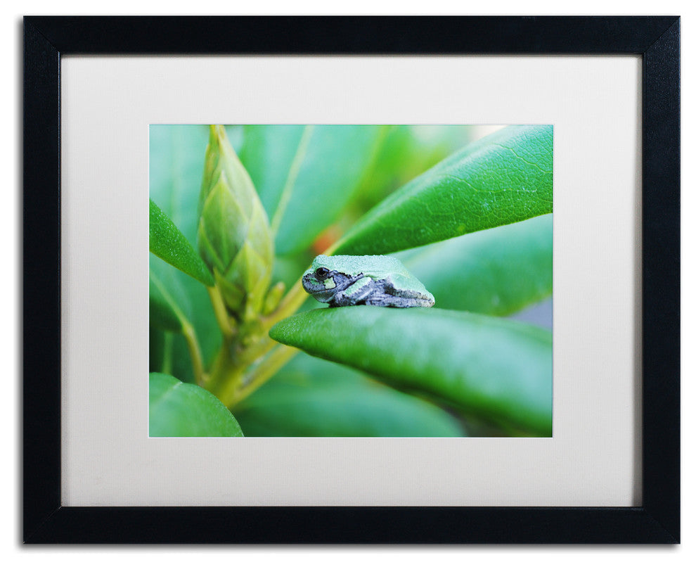 ''Balance'' Matted Framed Canvas Art by Monica Mize
