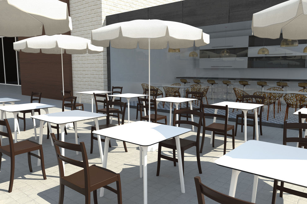 Compamia Tiffany Dining Chairs, Set of 2, Brown