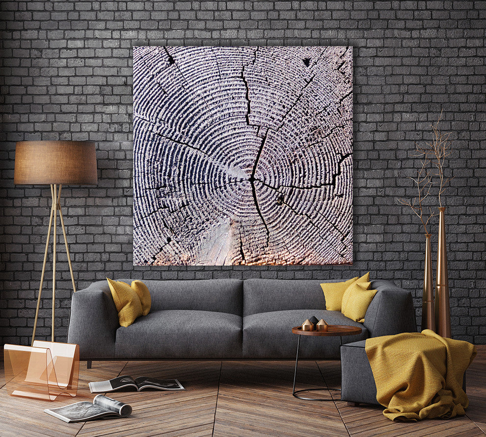 Age Of Time 2 Fine Art Giant Canvas Print 54"X54"