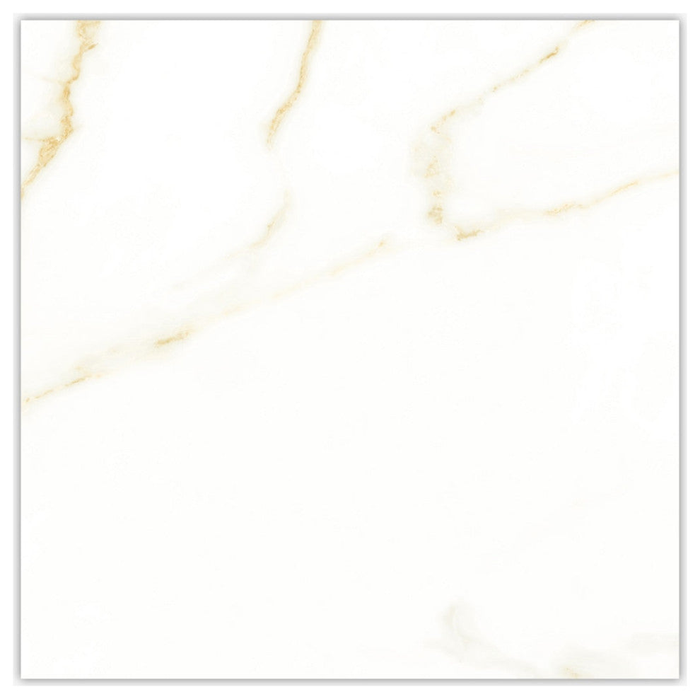 Emotion Calacatta Oro Matte 24x24 Porcelain Tile