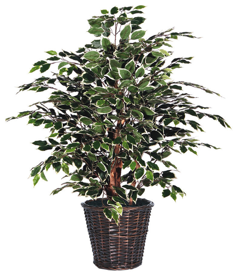 4'' Variegated Extra Full