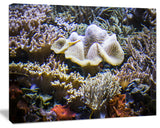 Beautiful Seabed With Fish, Large Landscape Canvas Art, 60"x28"