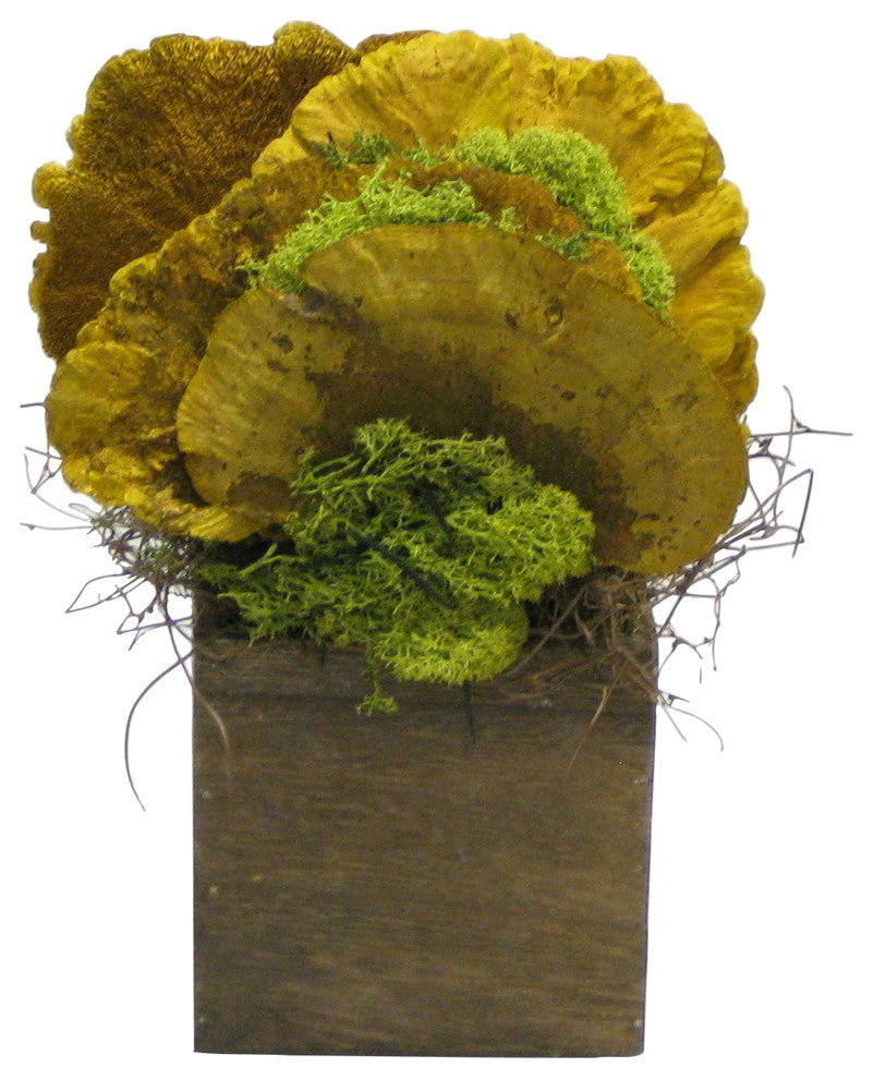Wooden Cube Brown Stain, Sponge Mushrooms Yellow, Yellow