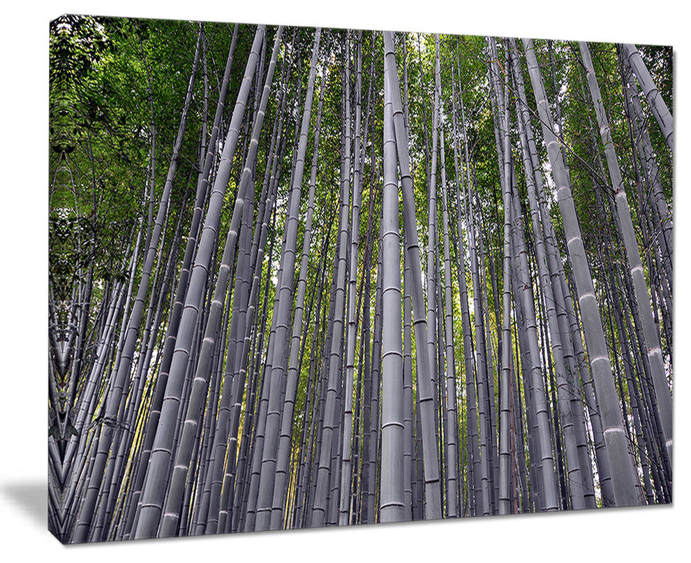 "Thick Bamboo Trunks in Japan" Forest Canvas Wall Art Print, 20"x12"