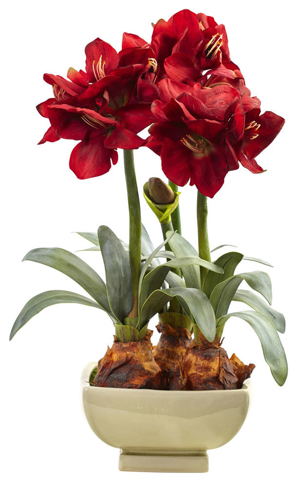 Amarylis Arrangement With Vase