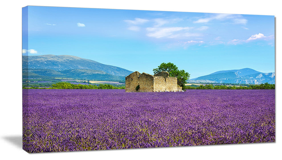 "Old House And Tree in Lavender Field" Landscape Wall Art, 40"x20"