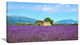 "Old House And Tree in Lavender Field" Landscape Wall Art, 40"x20"