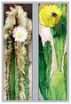 Cactus Flowers- Gallery Wrapped Canvas Art 28" x 42"