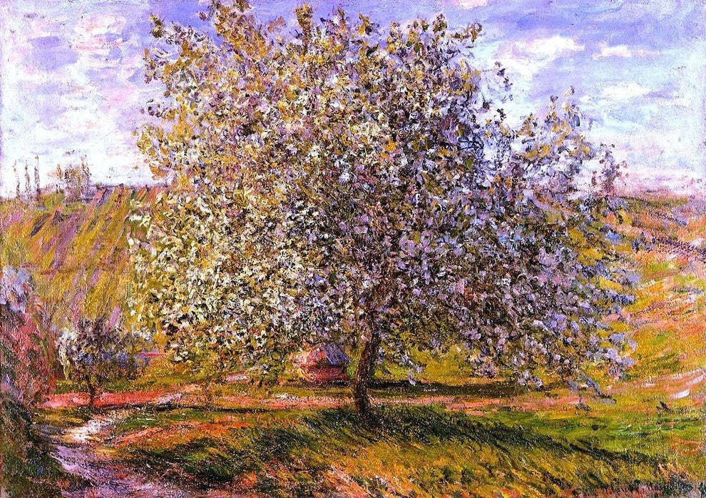 Claude Oscar Monet Tree in Flower near Vetheuil Gallery Wrapped Canvas Print