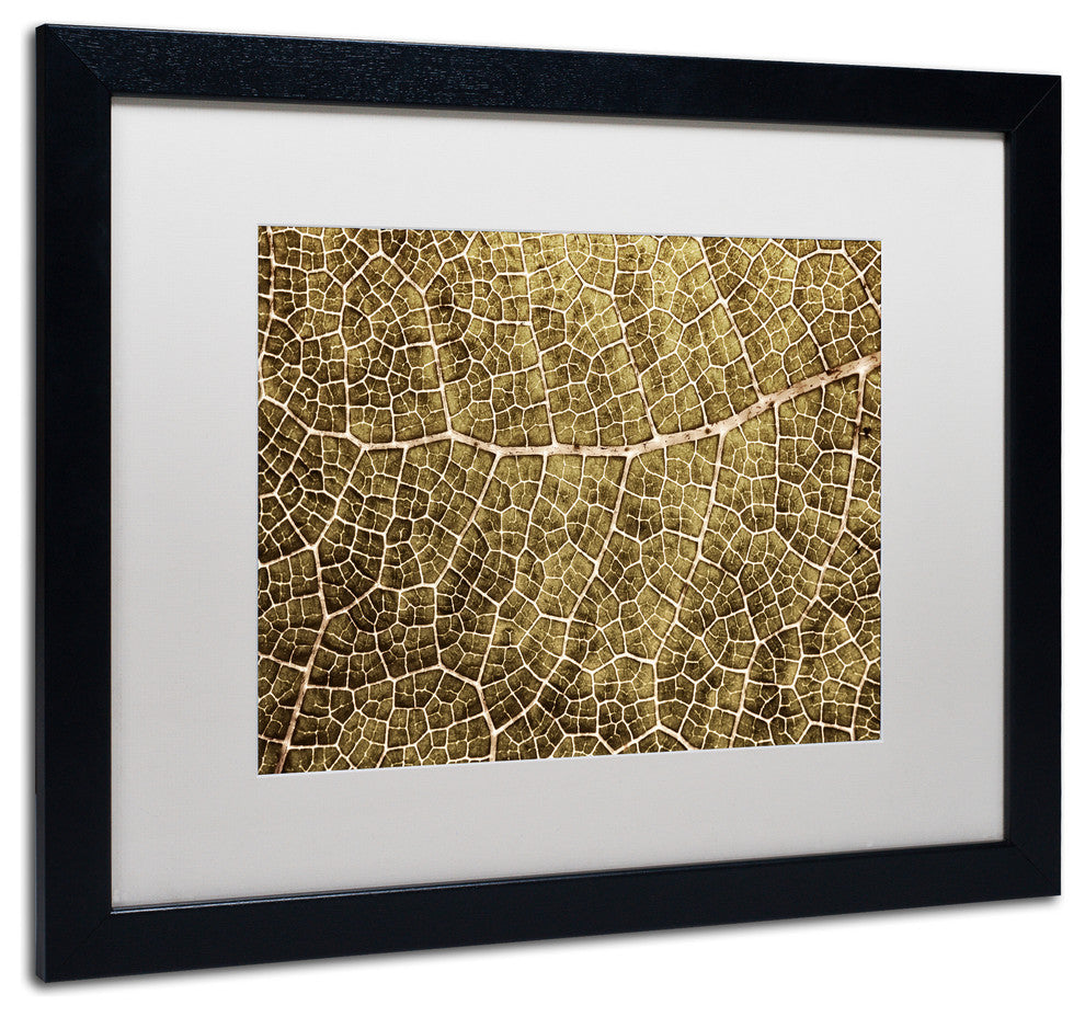Cora Niele ''Sepia Leaf Texture'' Matted Framed Art