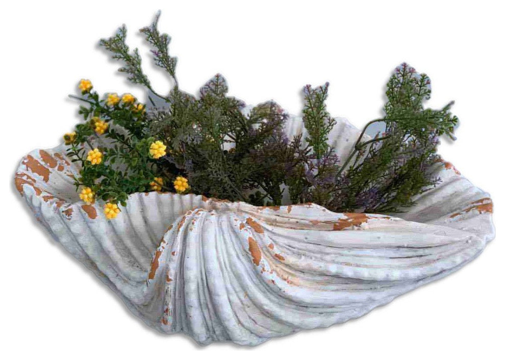 6" Distressed Cream and Terra Cotta Scallop Shell Planter