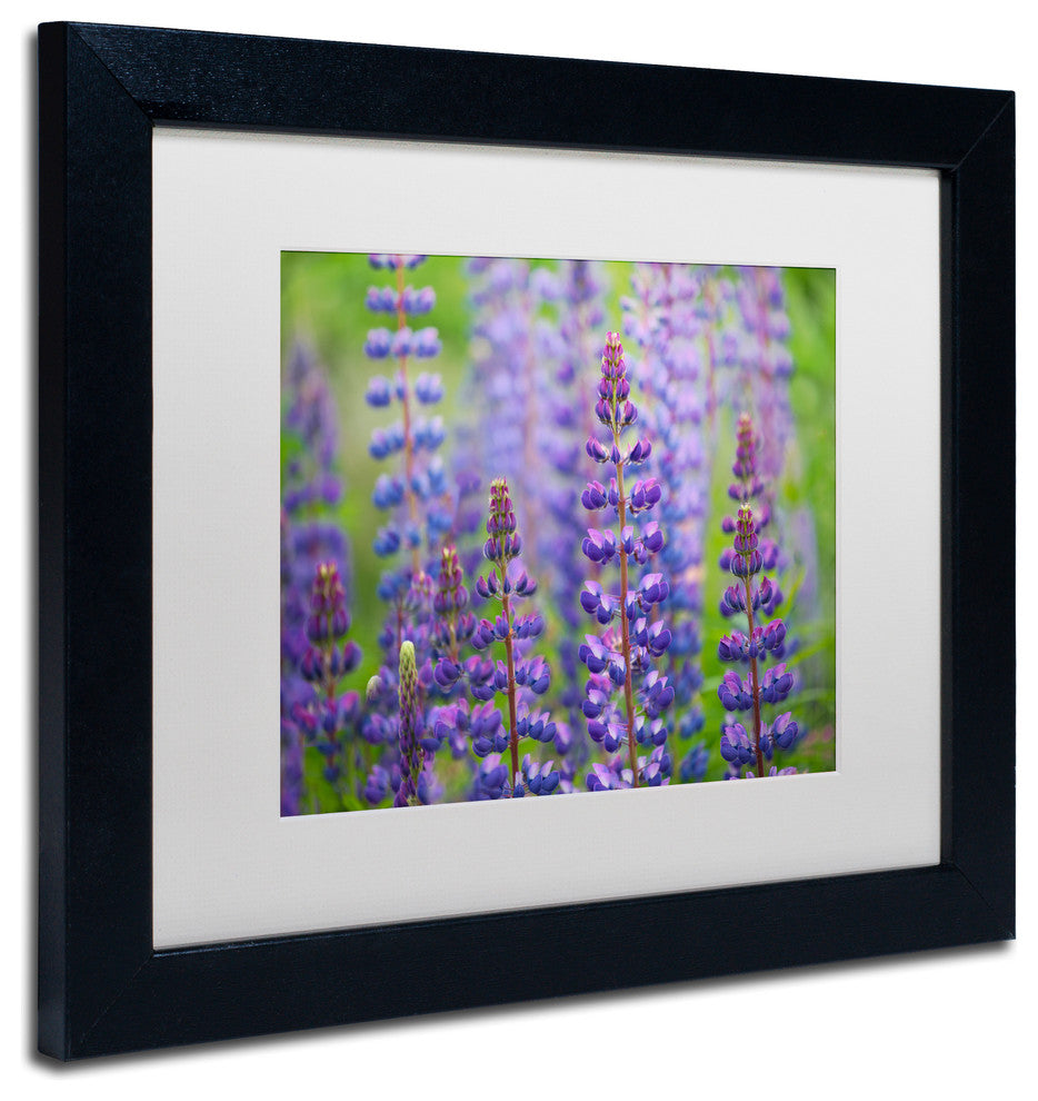 Cora Niele ''Blue Lupine Flowers'' Matted Framed Art