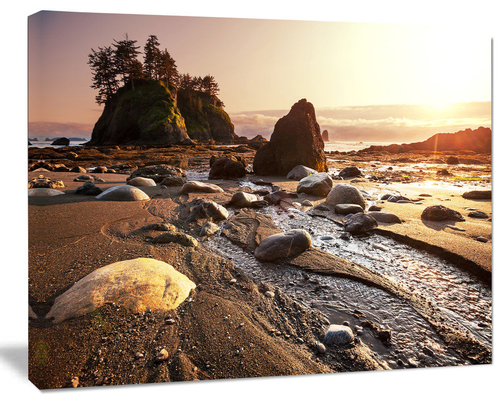 Olympic National Park Coast, Large Seashore Canvas Print, 20"x12"