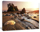 Olympic National Park Coast, Large Seashore Canvas Print, 20"x12"