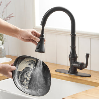 Wellfor Single Level Stainless Steel Kitchen Faucet With Pull Down Spray, Matte Black