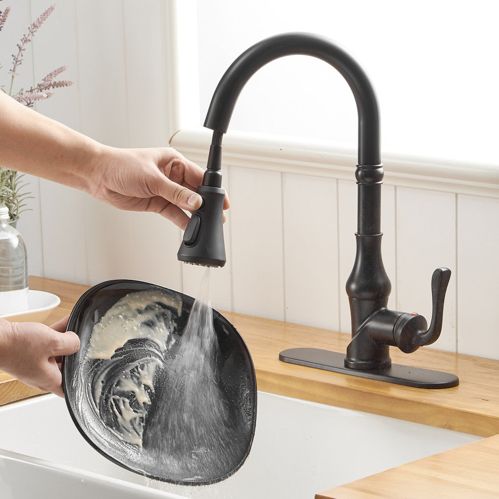 Wellfor Single Level Stainless Steel Kitchen Faucet With Pull Down Spray, Matte Black
