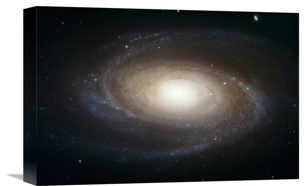 "Spiral Galaxy M81" Artwork, 18"x12"