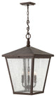 Hinkley Trellis Extra Large Hanging Lantern, Regency Bronze