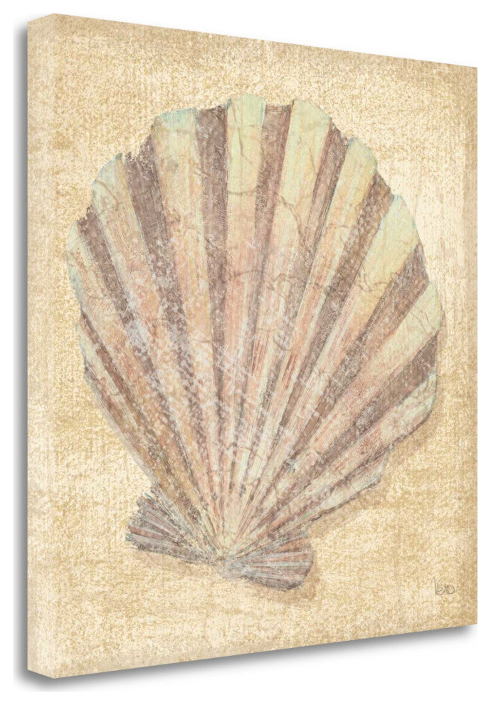 24" Bohemian Pastel Seashell Giclee Wrap Canvas Wall Art