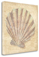 24" Bohemian Pastel Seashell Giclee Wrap Canvas Wall Art
